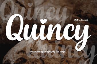 Quincy Font: Creative Design for Modern Projects